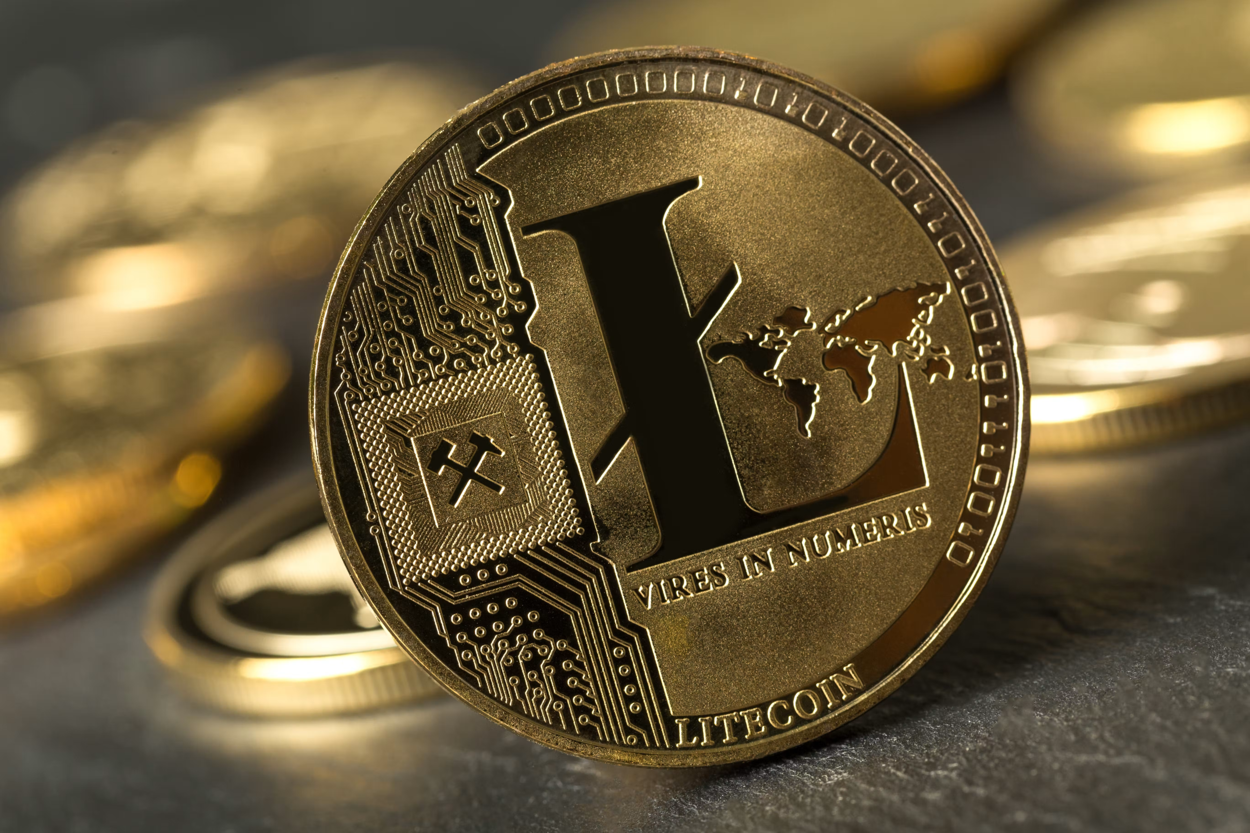 Exchange Litecoin (LTC)